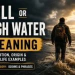hell or high water meaning