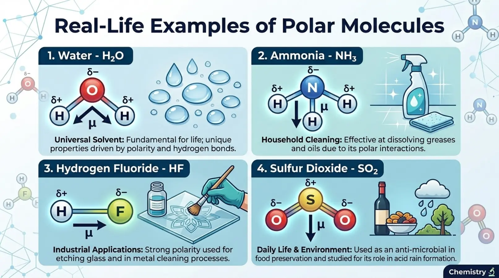 Real-Life Examples of Polar Molecules