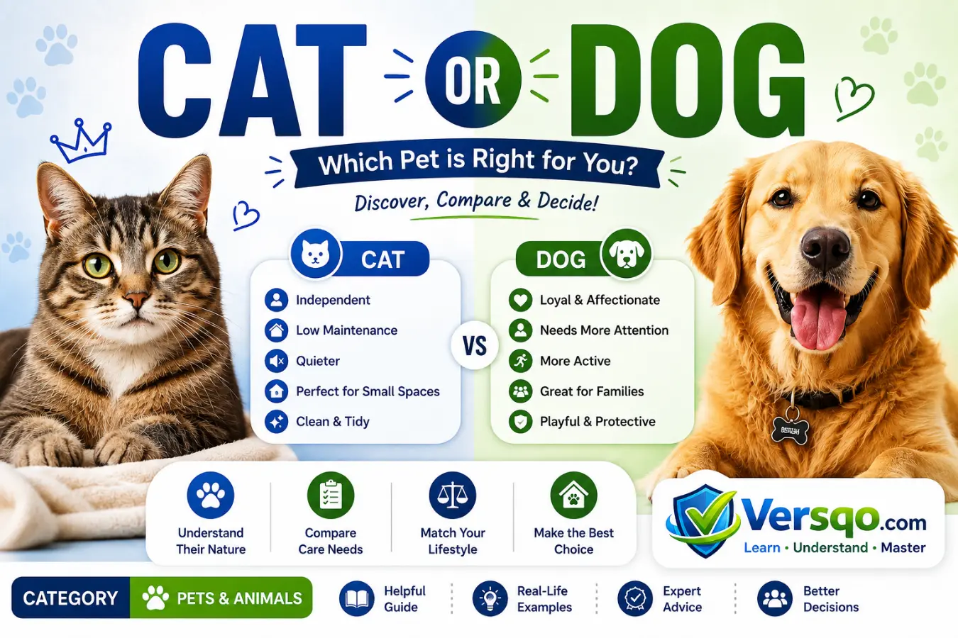 cat or dog
