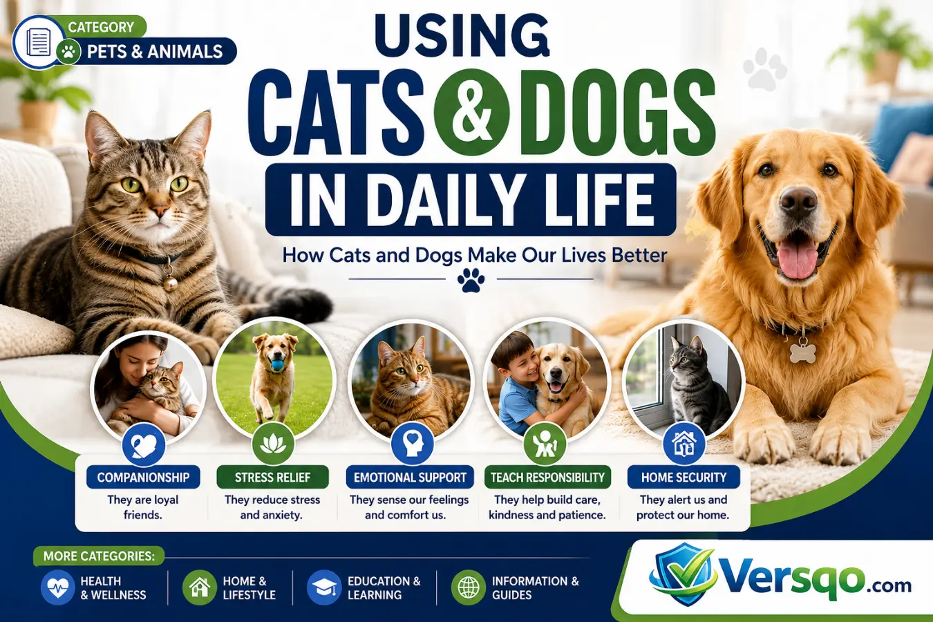 Using Cats and Dogs in Daily Life