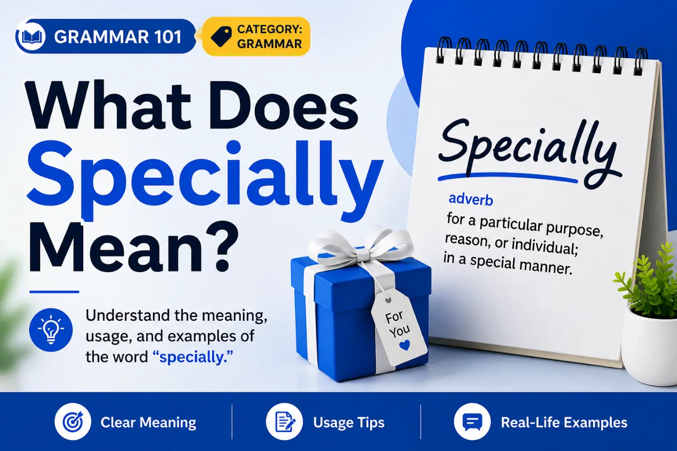 What Does Specially Mean?