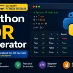  Python OR Operator