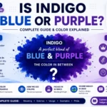 Is Indigo Blue or Purple